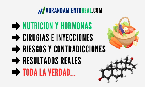 Alimentos y nutrientes esenciales para optimizar las hormonas y la circulación de la erección.